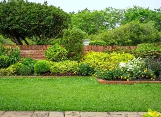 landscaping services Bowie